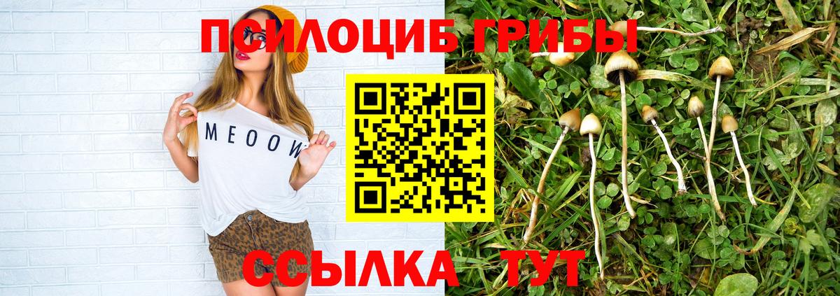 Псилоцибиновые грибы мухоморы  Галлюциногенные грибы прущие грибы  Светлоград  Вход с VPN 
